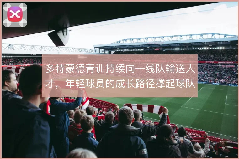 多特蒙德青训持续向一线队输送人才，年轻球员的成长路径撑起球队骨架
