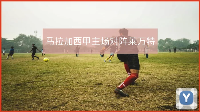 马拉加西甲主场对阵莱万特