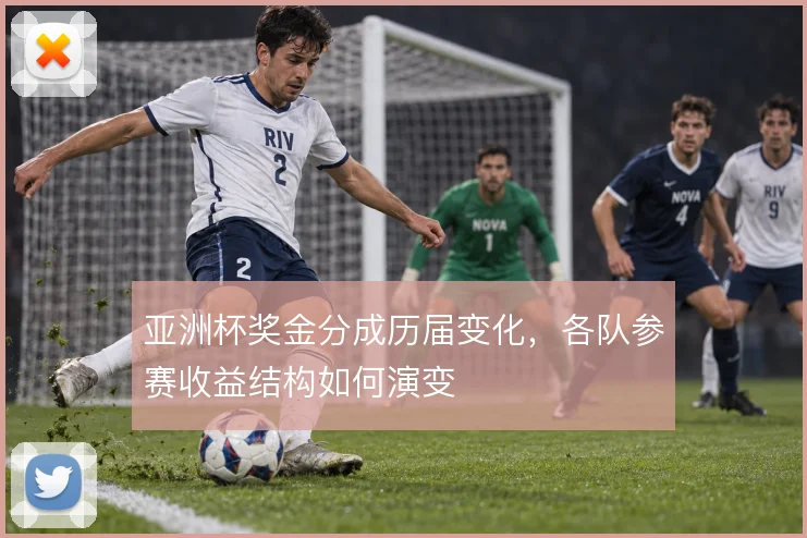 亚洲杯奖金分成历届变化，各队参赛收益结构如何演变