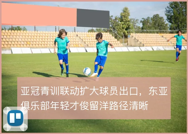 亚冠青训联动扩大球员出口，东亚俱乐部年轻才俊留洋路径清晰