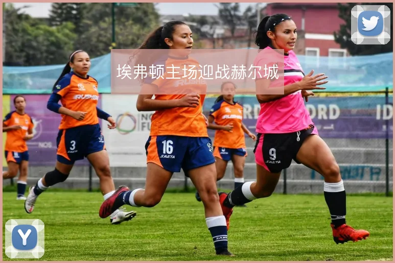 埃弗顿主场迎战赫尔城